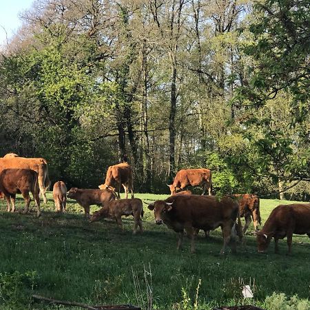 Les Ombrieres Porcheresse Exterior foto